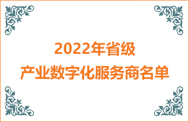 2022年省級產(chǎn)業(yè)數(shù)字化服務(wù)商